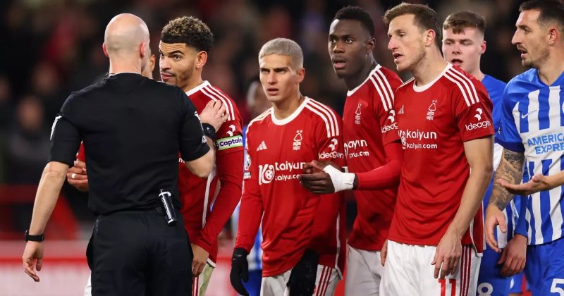 Nhận định trận đấu Brighton & Hove Albion vs Nottingham Forest - Dự đoán kết quả 8 Brighton có thể tự tin vào chiến thắng trước Nottingham
