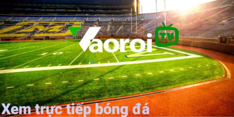Chính sách 3 Điều khoản bảo vệ quyền riêng tư tại Vao Roi anh em cần biết