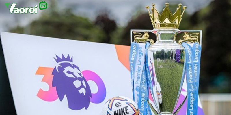 Giới thiệu Premier League - giải bóng đá ngoại hạng anh chi tiết 1 Giới thiệu Premier League - giải bóng đá ngoại hạng anh