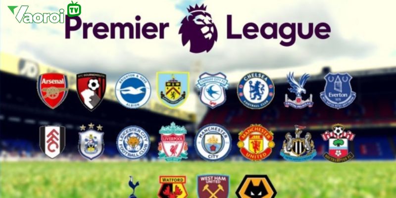Giới thiệu Premier League - giải bóng đá ngoại hạng anh chi tiết 2 Lịch sử phát triển của giải bóng đá ngoại hạng anh (Premier League) mà bạn cần biết