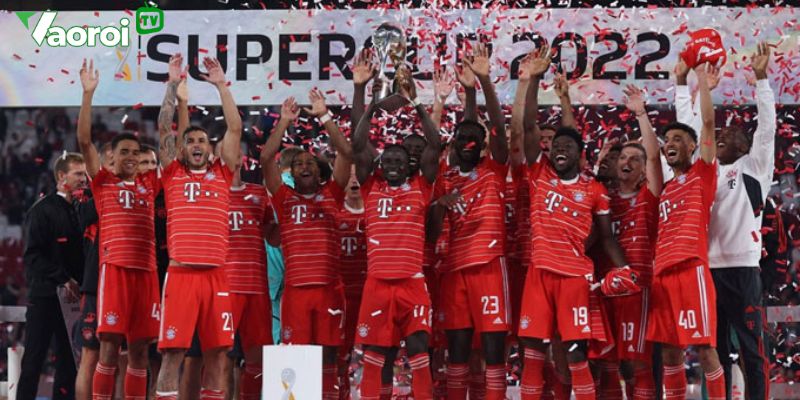 Giới thiệu Bundesliga - giải bóng đá vô địch quốc giá Đức | chi tiết 4 Danh sách top 5 CLB nổi bật nhất trong lịch sử giải bóng đá Đức