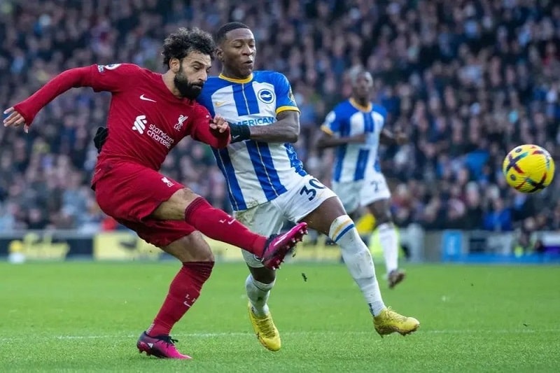 Nhận định Liverpool vs Brighton vòng 30 EPL - Dự đoán kết quả 7 Soi kèo nhà cái trận đấu Liverpool vs Brighton