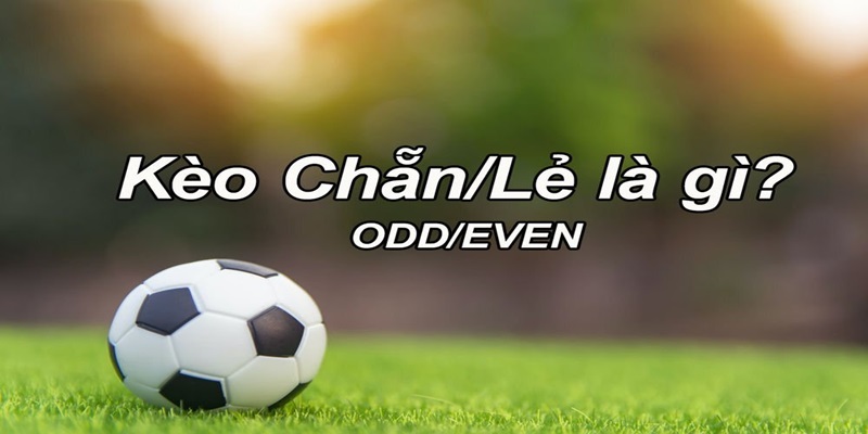Giới thiệu sơ qua về khái niệm kèo chẵn lẻ Giới thiệu sơ qua về khái niệm kèo chẵn lẻ