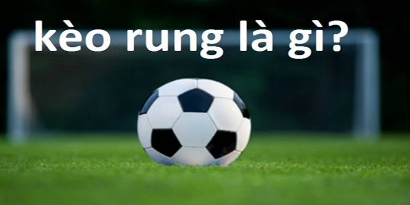 Chú ý quan trọng khi đánh kèo rung là gì tại Vaoroi TV Chú ý quan trọng khi đánh kèo rung là gì tại Vaoroi TV