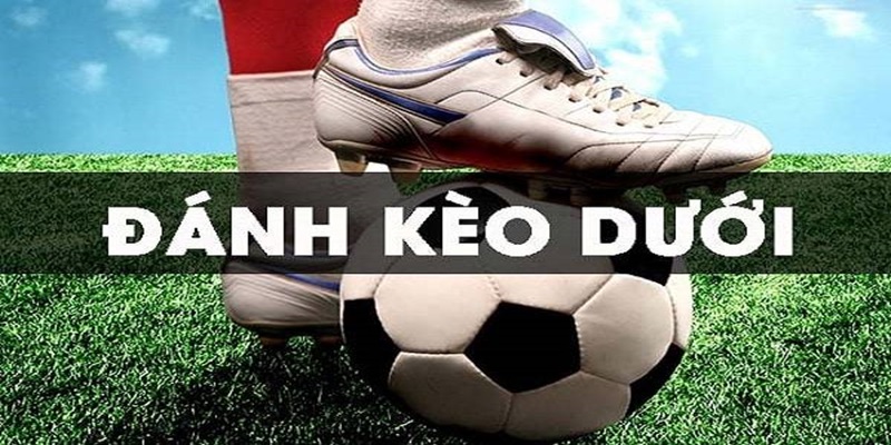 Lưu ý cần biết khi đặt kèo trên kèo dưới Lưu ý cần biết khi đặt kèo trên kèo dưới